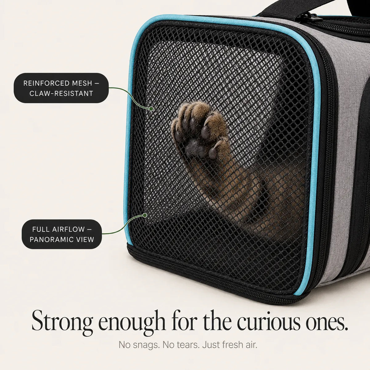 Nestly – Expandable Cat Carrier with Mesh-like Lounge Sides for Travel