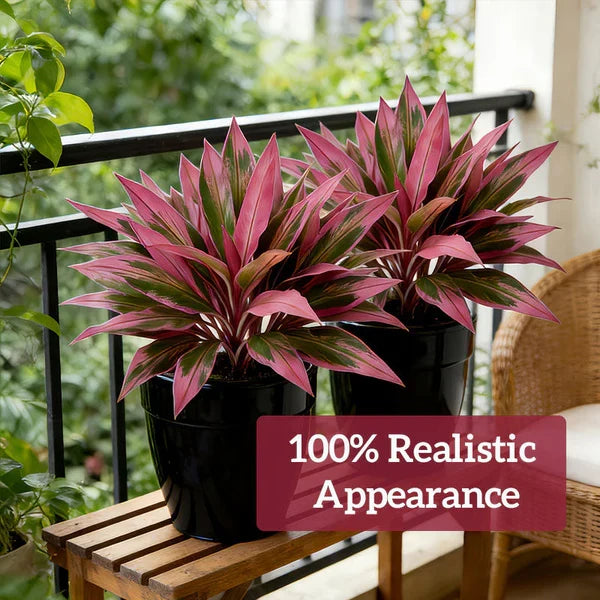 Verdara – Vibrant Faux Cordyline Plant Set