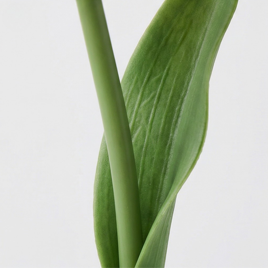 Bloomora – LED Tulip Lamp with Ceramic Vase