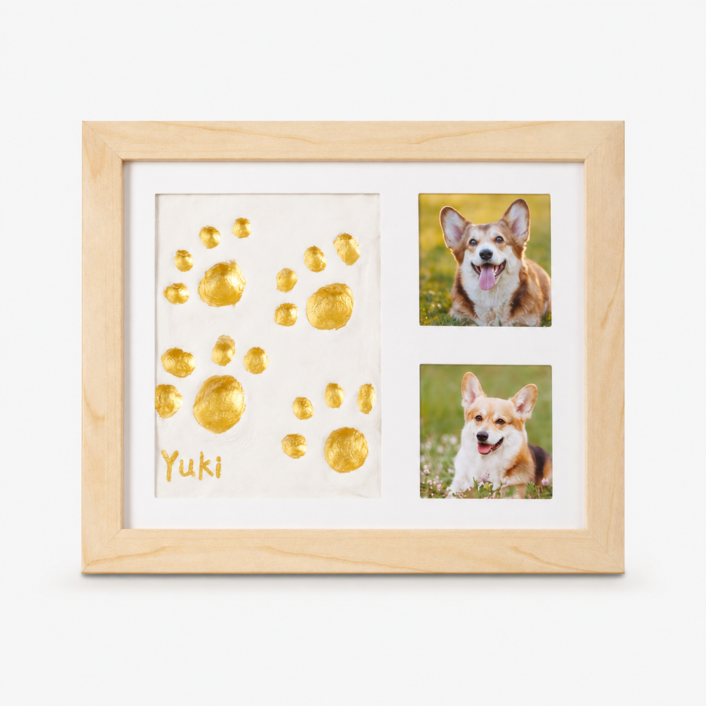 Littlecast – Silver Paw Print Photo Frame Kit