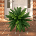 Fernly – Realistic Artificial Boston Fern