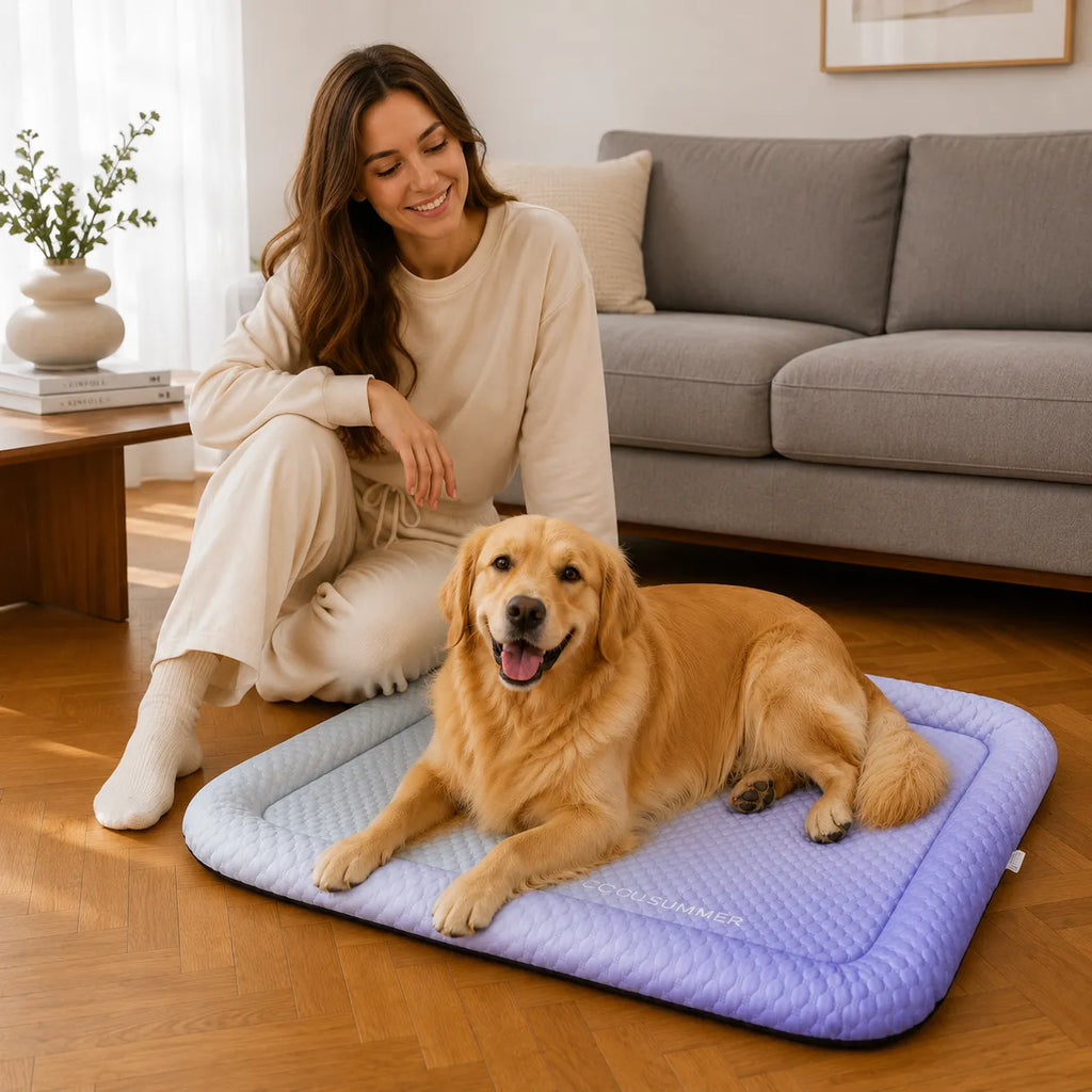 PawChill – Cooling Mat for Dogs with Pillow Edge and Non-Slip Base