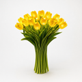 Lumelya – Glowing Tulip Bouquet Light